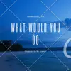 Stream & download What Would You Do - Single