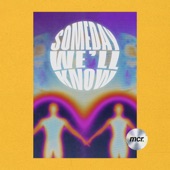 Someday We'll Know artwork