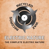 Electric Nature - The Electric Nature - DJ Looney Tunes Remix