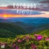 Ridge - Single