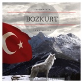 Bozkurt artwork