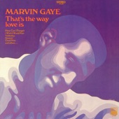 Marvin Gaye - Abraham, Martin and John