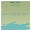 Waiting For What - Single