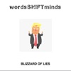 Blizzard of Lies - Single