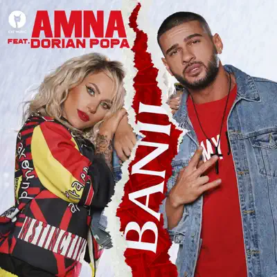 Banii (feat. Dorian Popa) - Single - Amna