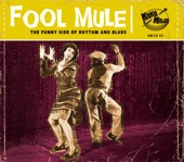 Fool Mule, 2018