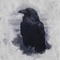 Raven - RezQ Sound & Izzamuzzic lyrics