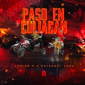 Paso En Culiacán artwork