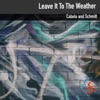 Leave It to the Weather - Single
