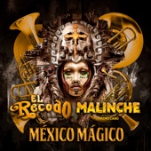 México Mágico artwork