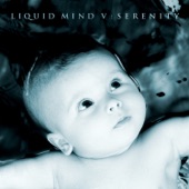 Liquid Mind V: Serenity artwork