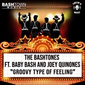 Groovy Type of Feeling (feat. Baby Bash & Joey Quinones) artwork