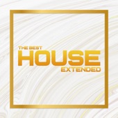 The Best House Extended artwork