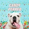 Candy Perreo (feat. Dj Kelvin & Kazu) - DJ Peligro lyrics