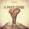 Stream & download A Paso Firme - Single