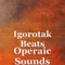 Custom Made - Igorotak Beats lyrics