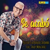 Se Acabó (feat. Andy Monatñez) artwork