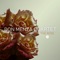 Kin - Don Menza Quartet lyrics