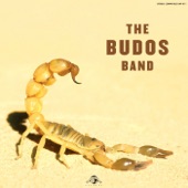 The Budos Band II artwork