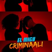 Criminaali artwork