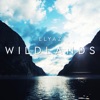 Wildlands - Single