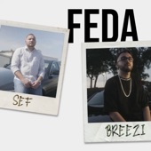 Feda artwork