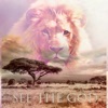 See the God (feat. Everett W. Miller & Popo Salami) - Single