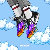 Elevate artwork