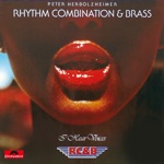 カバー歌手｜Peter Herbolzheimer Rhythm Combination & Brass