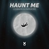 Haunt Me - Single