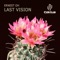 Last Vision - Ernest Oh lyrics