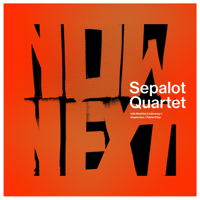 Sepalot - NOWNEXT (feat. Angela Aux, Matthias Lindermayr & Fabian Füss) artwork