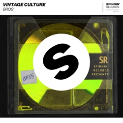 Vintage Culture & Earstrip & Torha - Bros (Extended Mix)