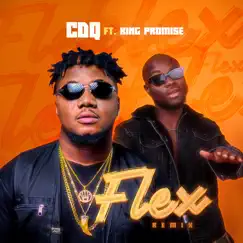 Flex (feat. King Promise) - Single by CDQ album reviews, ratings, credits