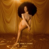 We Don't Funk artwork