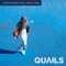 Almost (Instrumental) - Quails lyrics