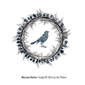 Songs III: Bird on the Water artwork