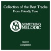 Collection of the Best Tracks from: Friendly Tune