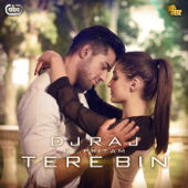 Tere Bin (feat. Pritam) - DJ Raj