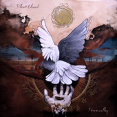 Let the Dove Fly Home artwork