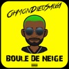 Boule de neige - Single