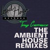 The Ambient House Remixes - Single