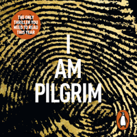 Terry Hayes - I Am Pilgrim artwork