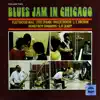 Blues Jam in Chicago, Vol. 2 album lyrics, reviews, download