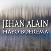 Jehain Alain Hayo Boerema artwork