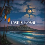 Lost in Hawaii artwork