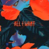 All I Want - Single