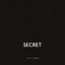 Secret (Club Mix) artwork
