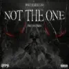 Not the One (feat. Bearded Legend) - Single album lyrics, reviews, download