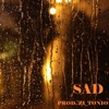 Sad - Single